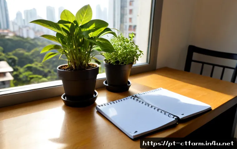Home 17 도시농업관리사 국가시험 관련 정보 - Photorealistic Brazilian urban agriculture certification exam preparation scene, mature student seat...